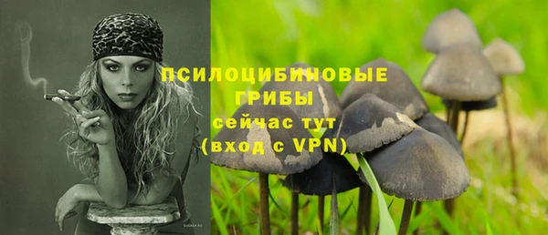 мяу мяу мука Абаза