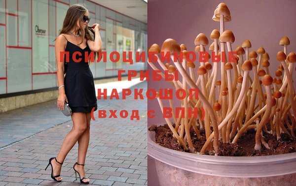 тгк Абинск